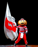 brutus (2)