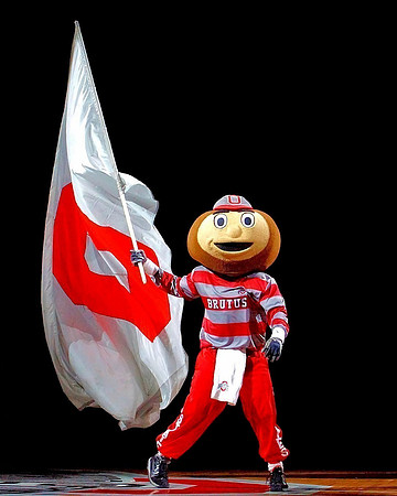 brutus (2)