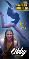 High School Sports Banners